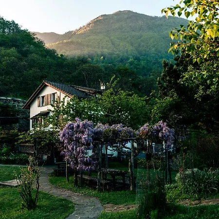 Sass Da Grüm Hotel Gambarogno